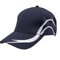 electric_navy_white-1354358486-jpg