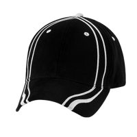 grand_stripe_black_white-1354545802-jpg